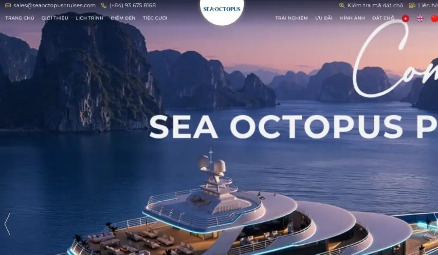 Website seaoctopuscruises.com